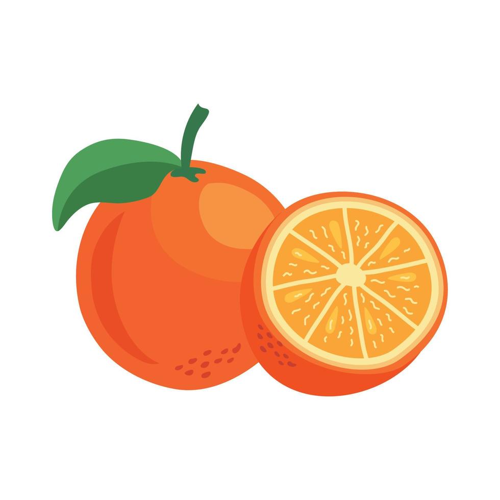 naranjas cítricos vector