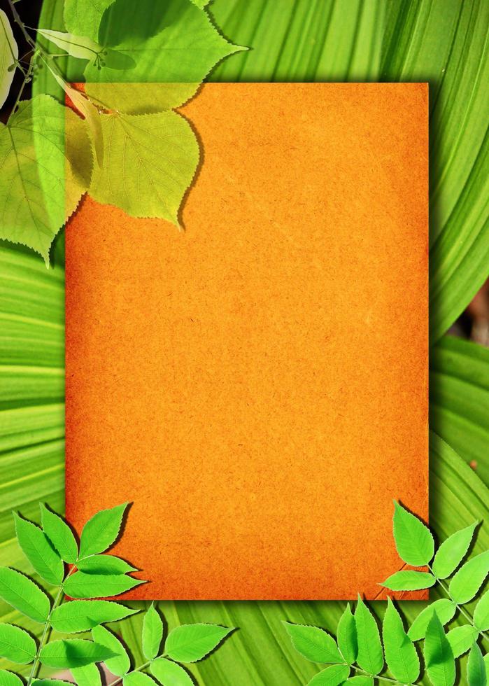 Old paper background with green leaves photo