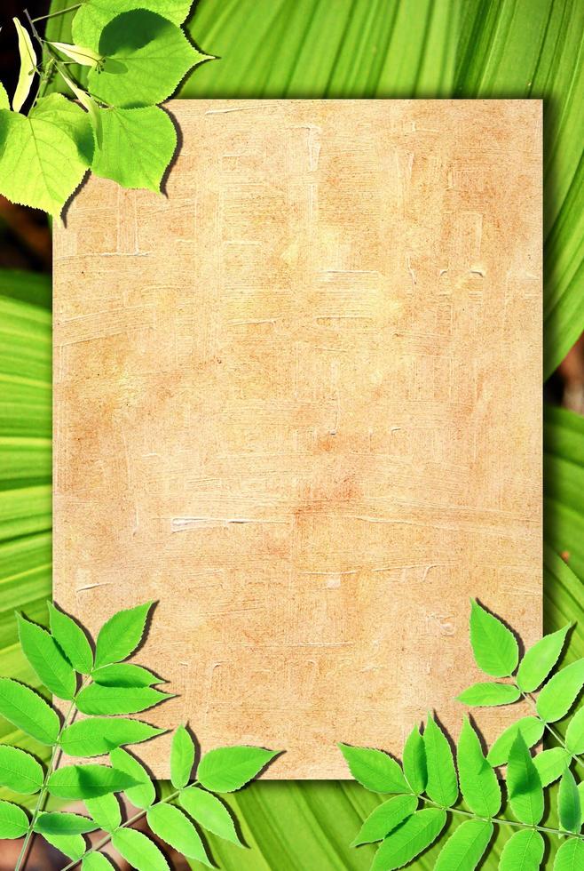 Old paper background with green leaves photo