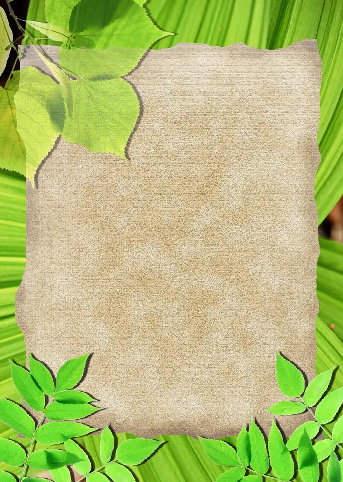 Old paper background with green leaves photo