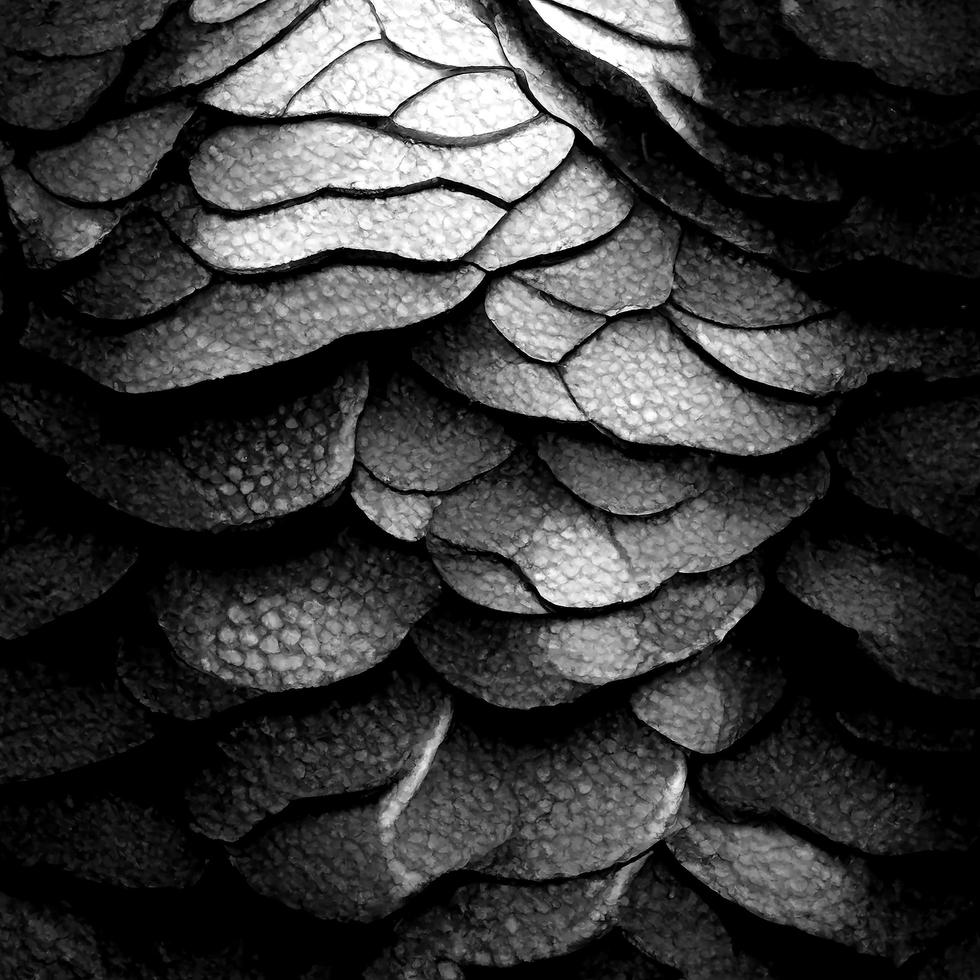 escala de serpiente textura monocromo perfecta foto