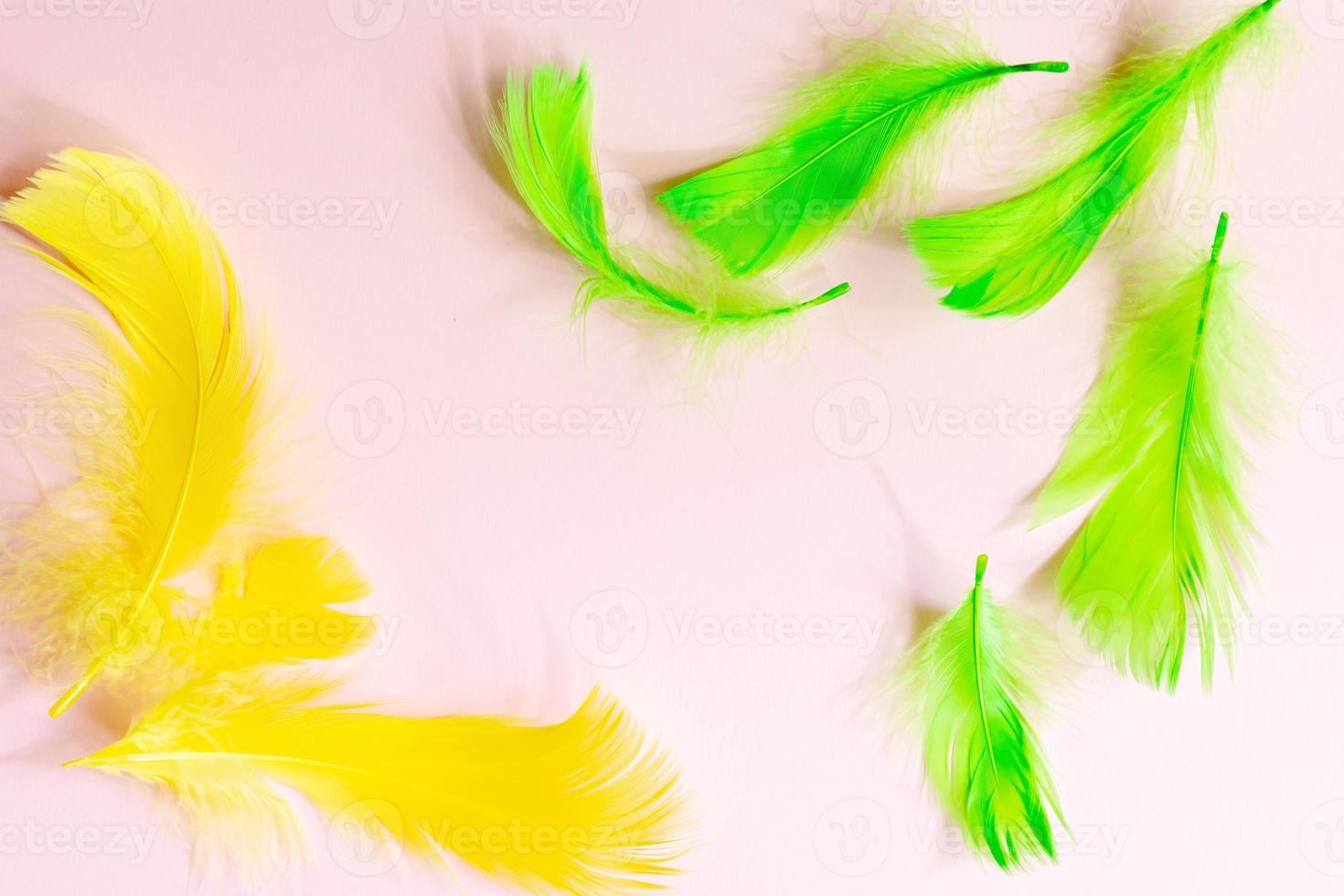 Trendy frame with Beautiful green and yellow bird feathers on pink pastel background. Flat lay with copy space. photo
