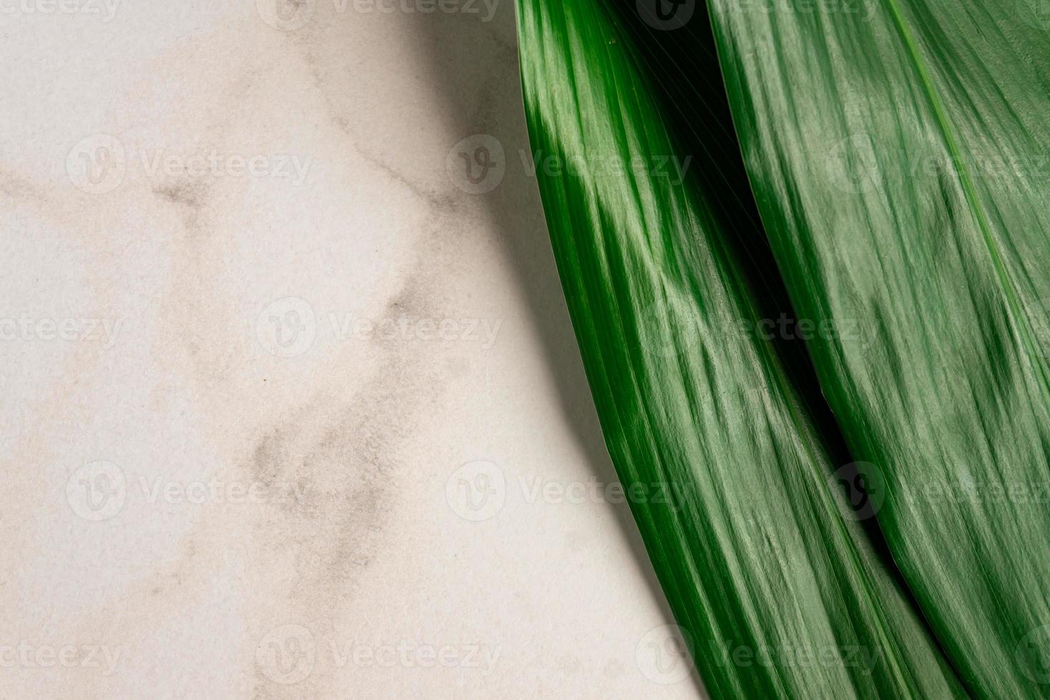 Flat lay composition with tropical leaves and space for text on marble background photo