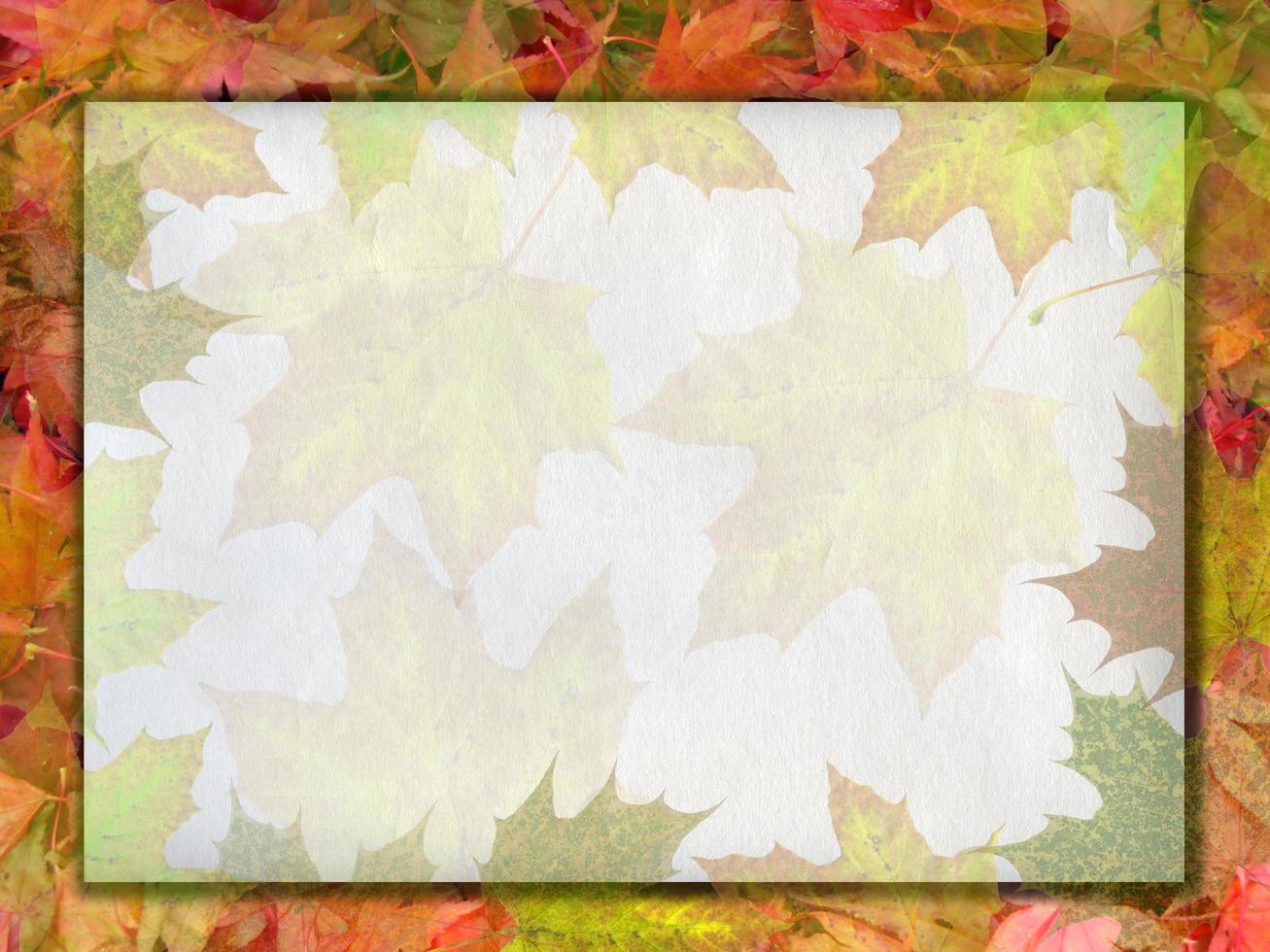 Sheet of paper on leaves background photo