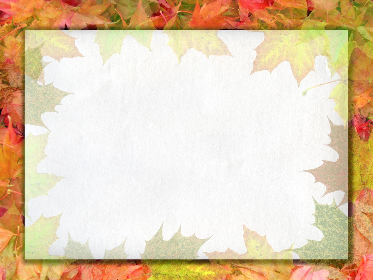 Sheet of paper on leaves background photo