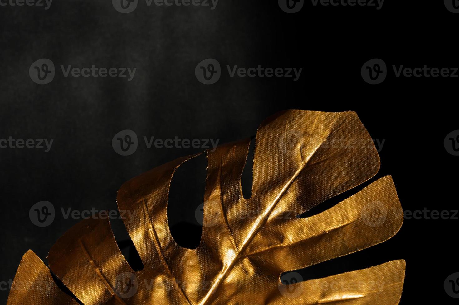 Fashionable luxuary black background eith gold monstera leaf. Copy space for text photo