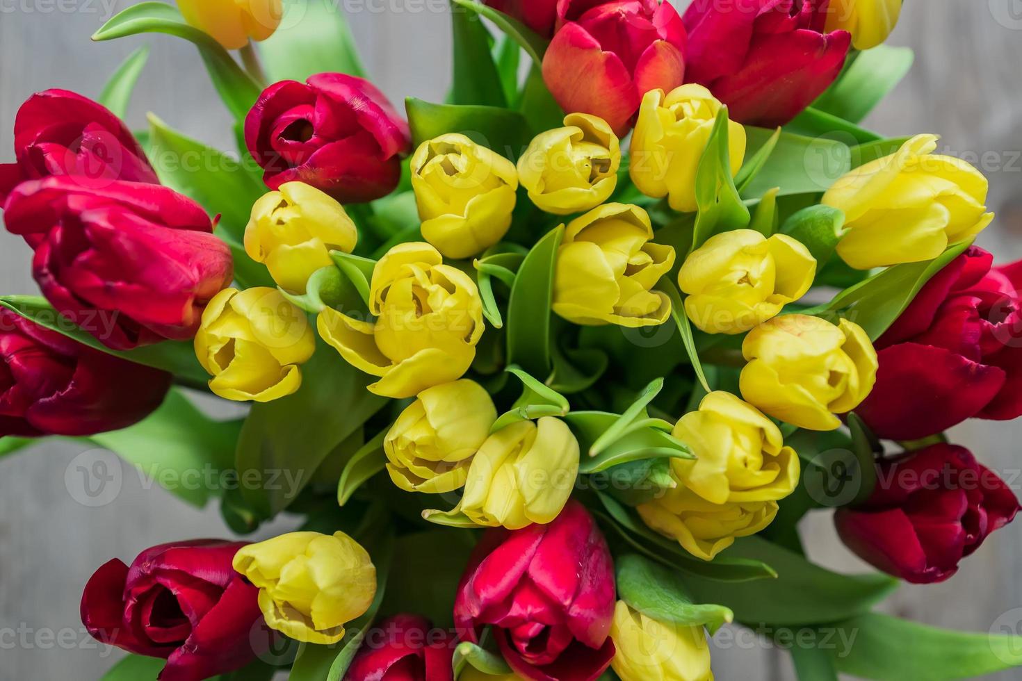 Top view of bouquet of red and yelow tulips . Floral background. Festive greeting card for mothers day or birthday photo