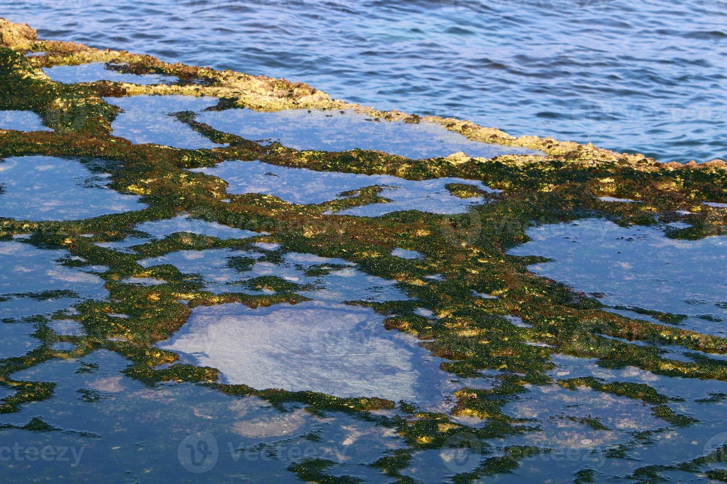 Coast of the Mediterranean Sea in northern Israel. photo