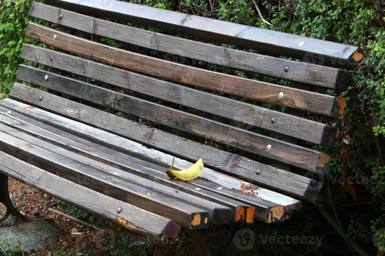 banco para descansar en el parque de la ciudad. foto