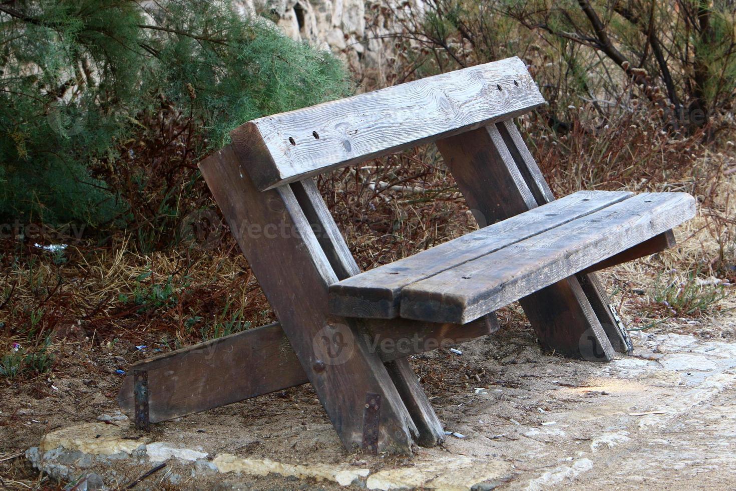 Bench for rest in the city park. photo