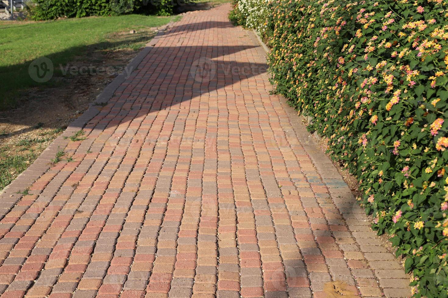 Pedestrian road in the city park. photo