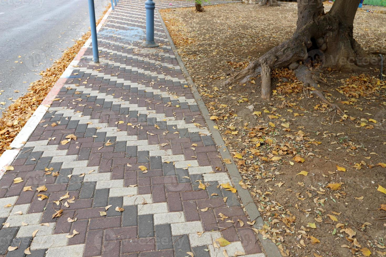 Pedestrian road in the city park. photo