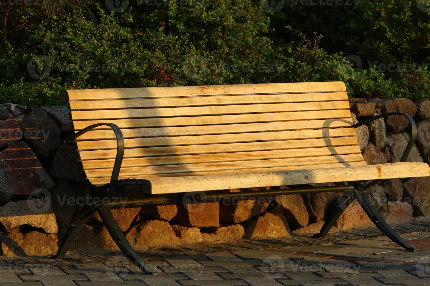 Bench for rest in the city park. photo