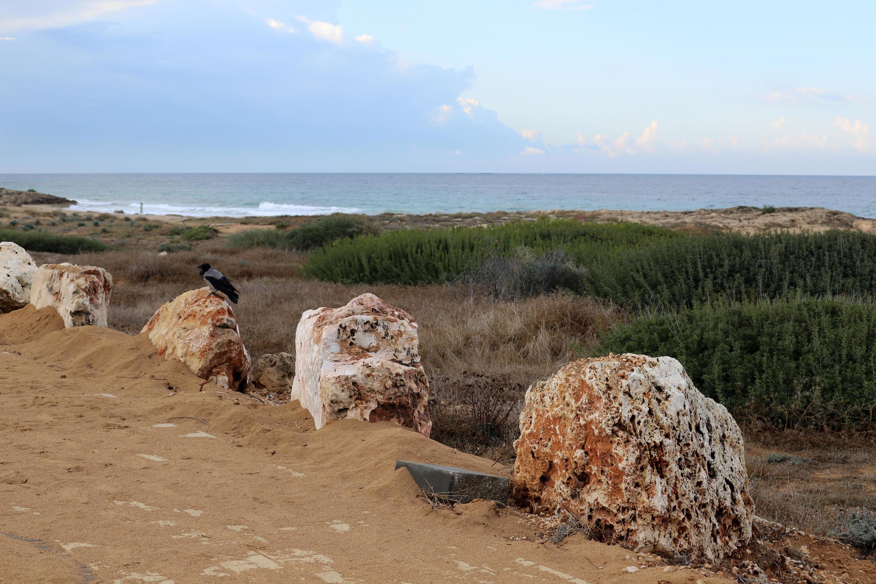 nahariya israel 15 de mayo de 2020. piedras y conchas en un parque de la ciudad en la costa