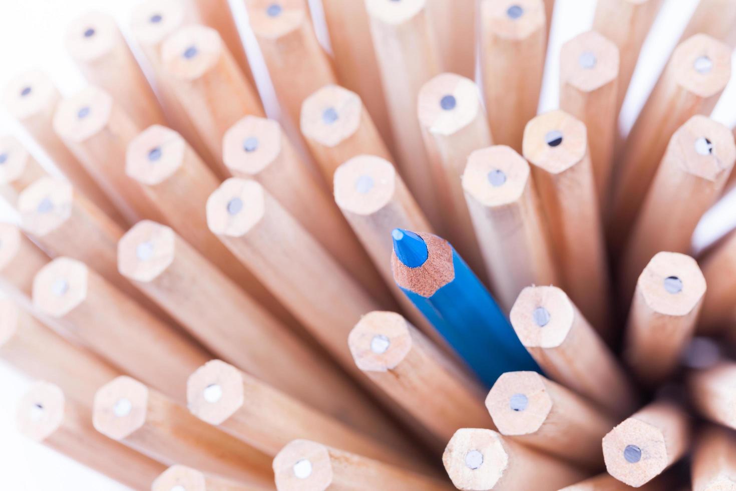 One sharpened blue pencil among many ones photo