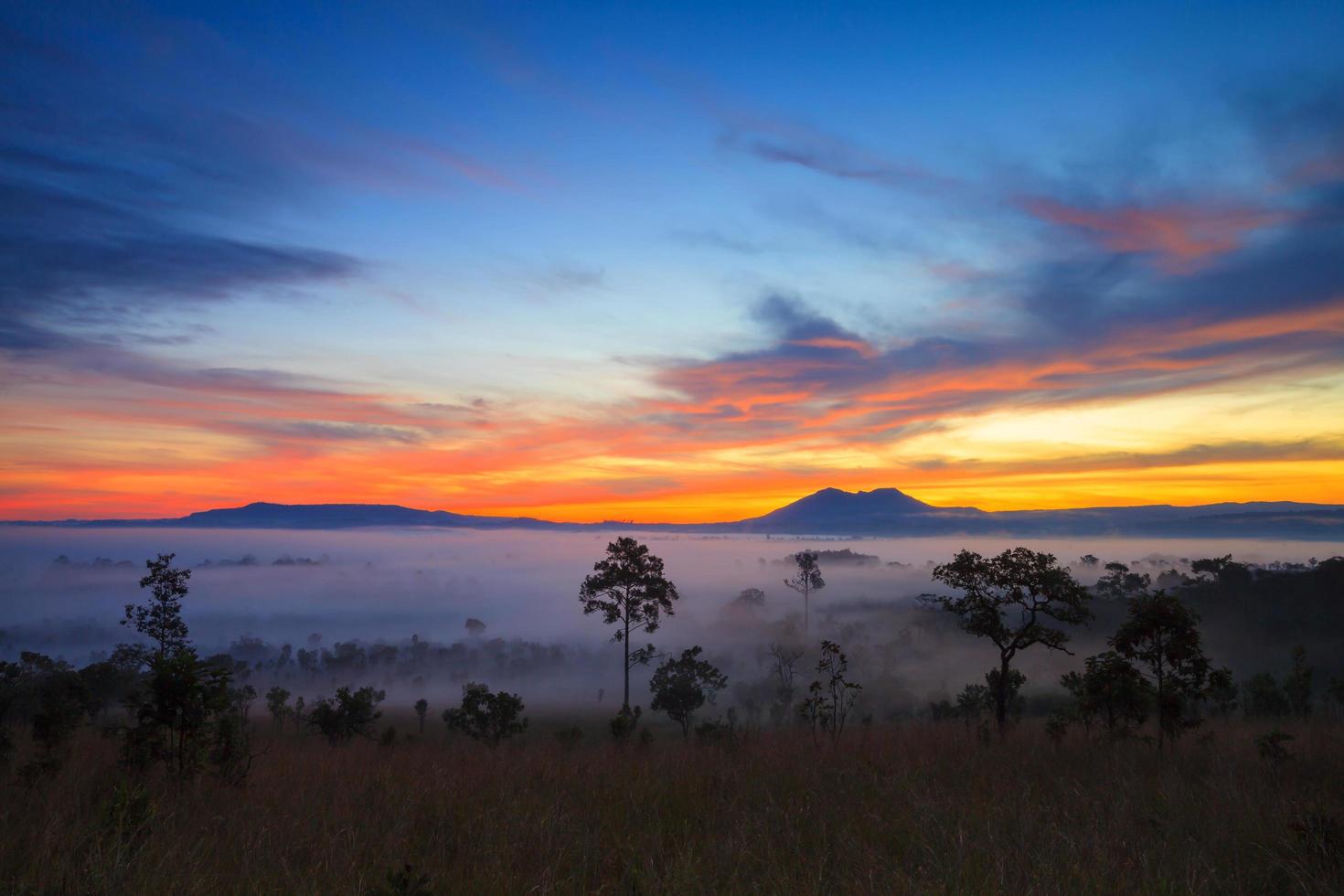 misty morning sunrise in mountain at Thung Salang Luang National Park Phetchabun,Thailand photo