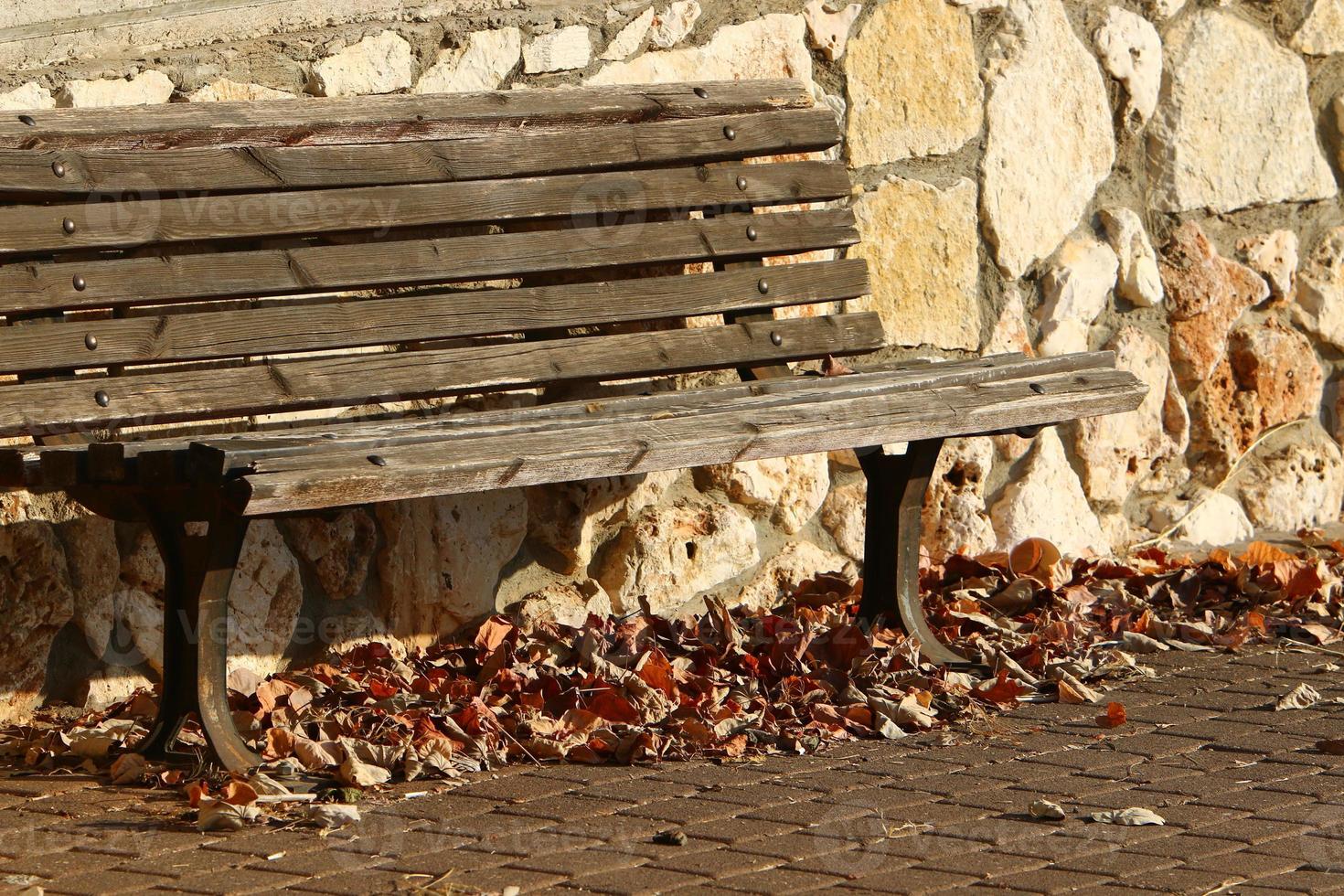 Bench for rest in the city park. photo