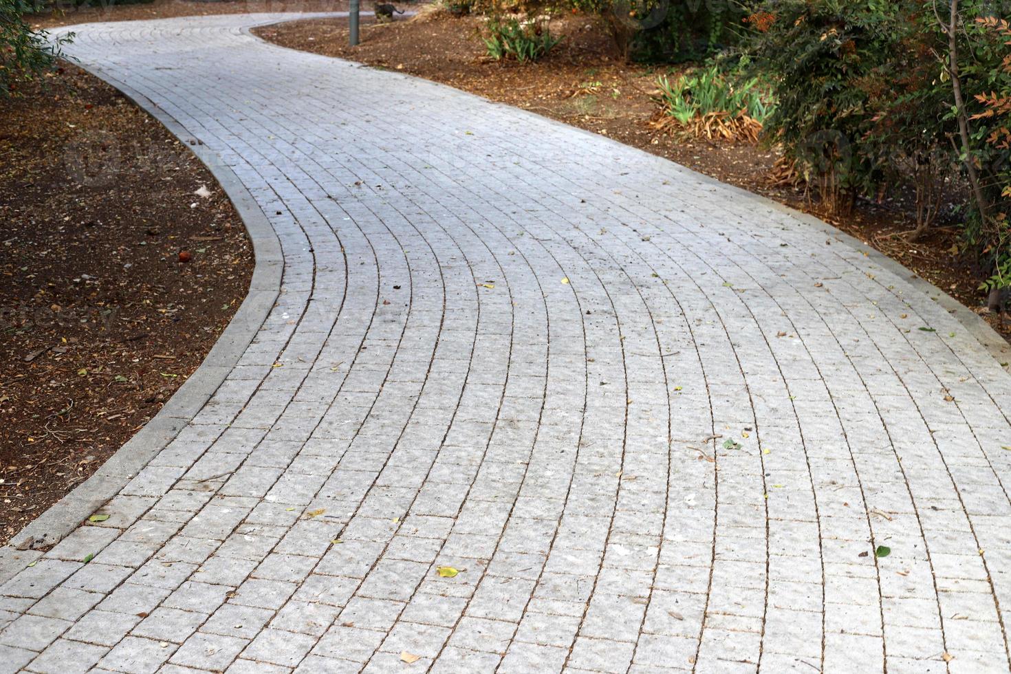 Pedestrian road in the city park. photo