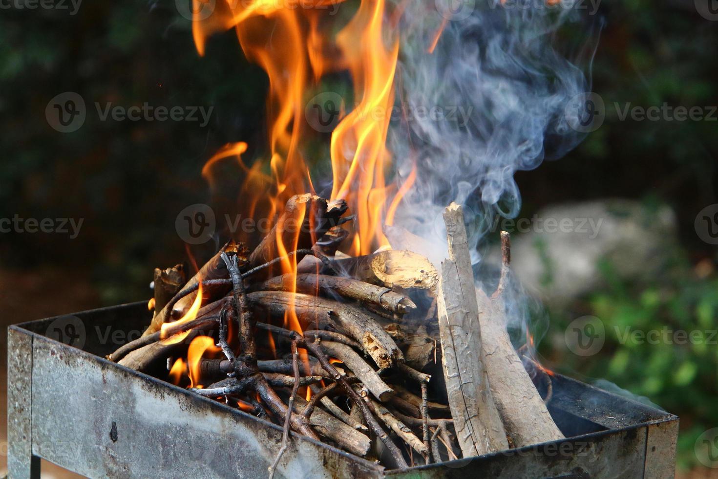 Vegetables and meat are fried on the grill. photo