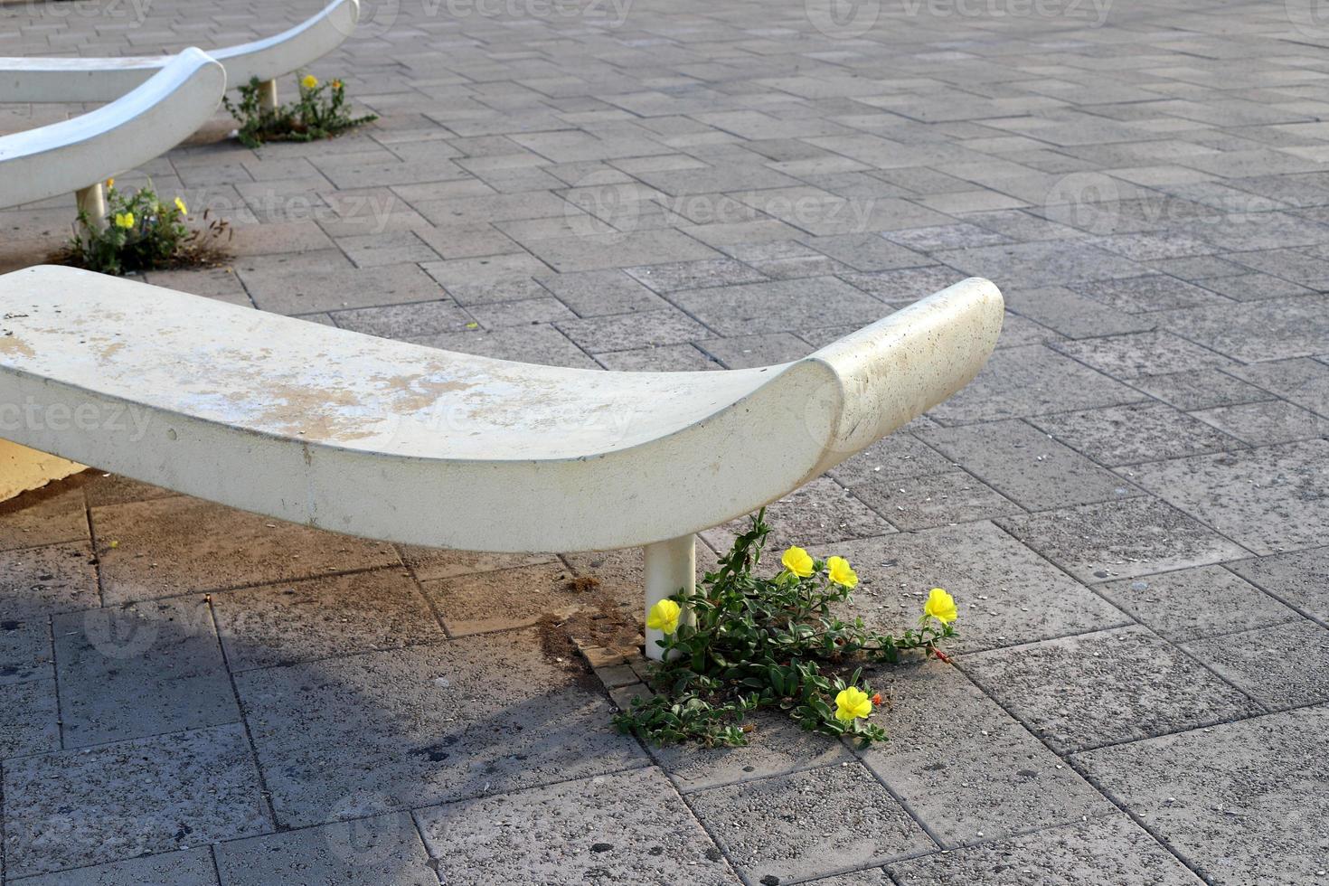 banco para descansar en el parque de la ciudad. foto