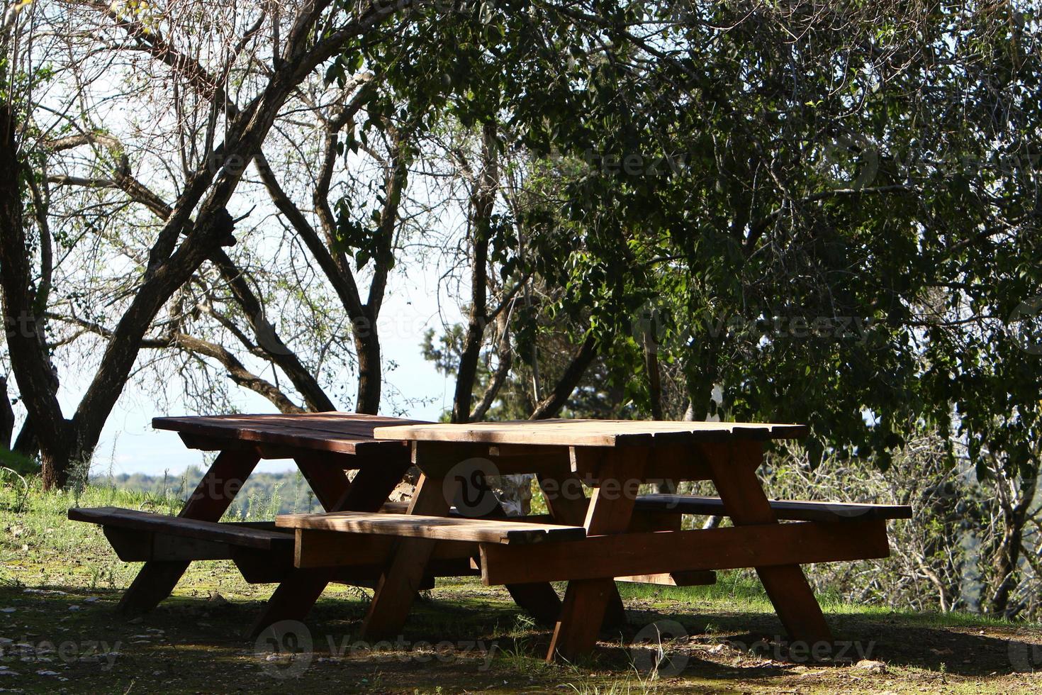 Bench for rest in the city park. photo