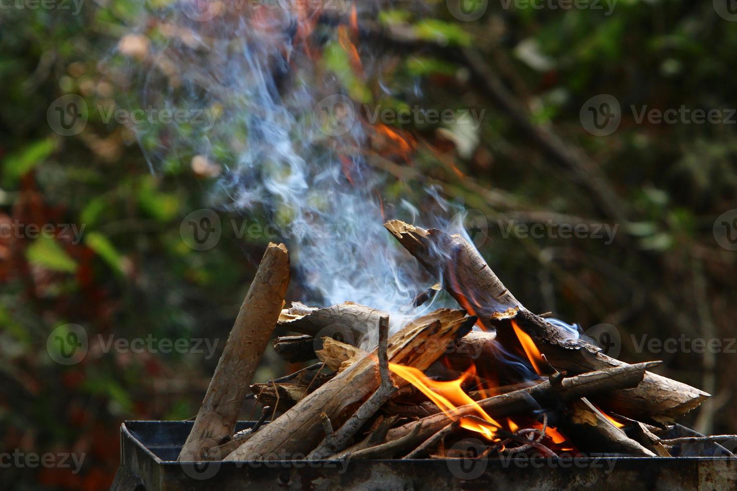 Vegetables and meat are fried on the grill. photo