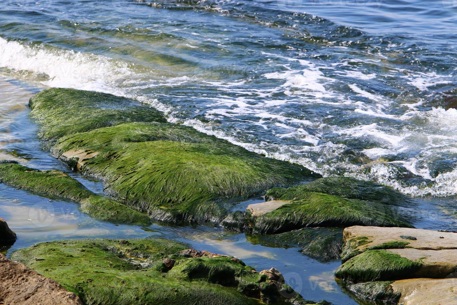 Coast of the Mediterranean Sea in northern Israel. photo
