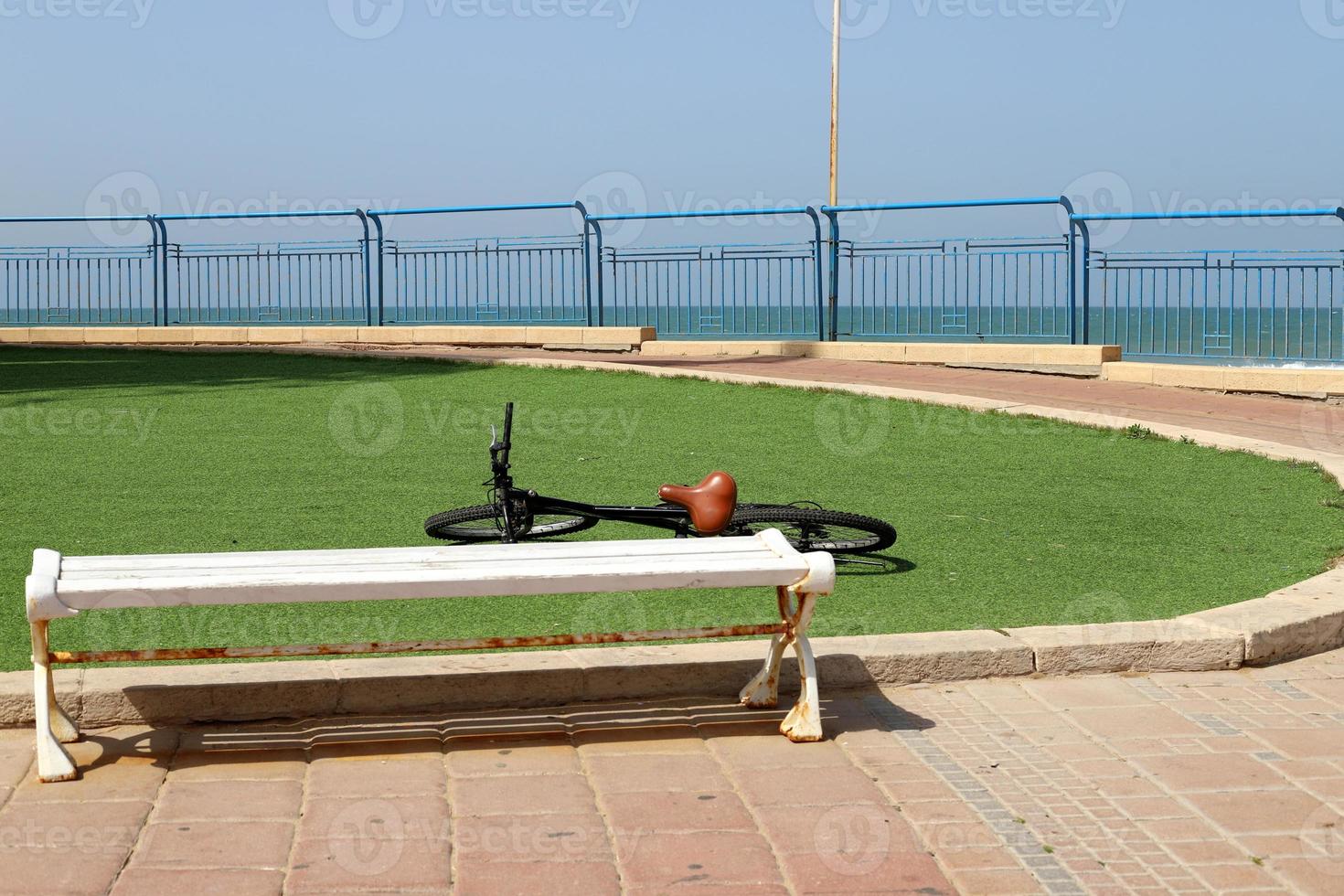 Bench for rest in the city park. photo