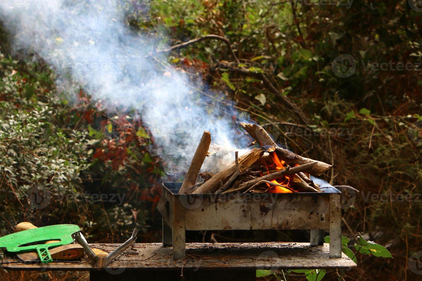 Vegetables and meat are fried on the grill. photo