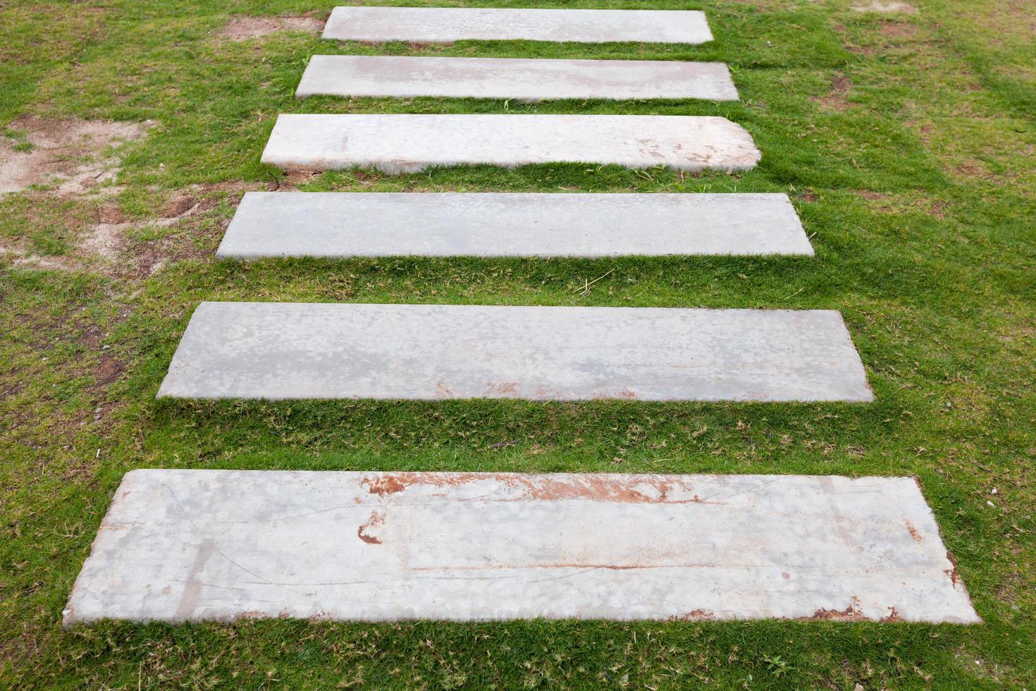 Walkway on green grass photo