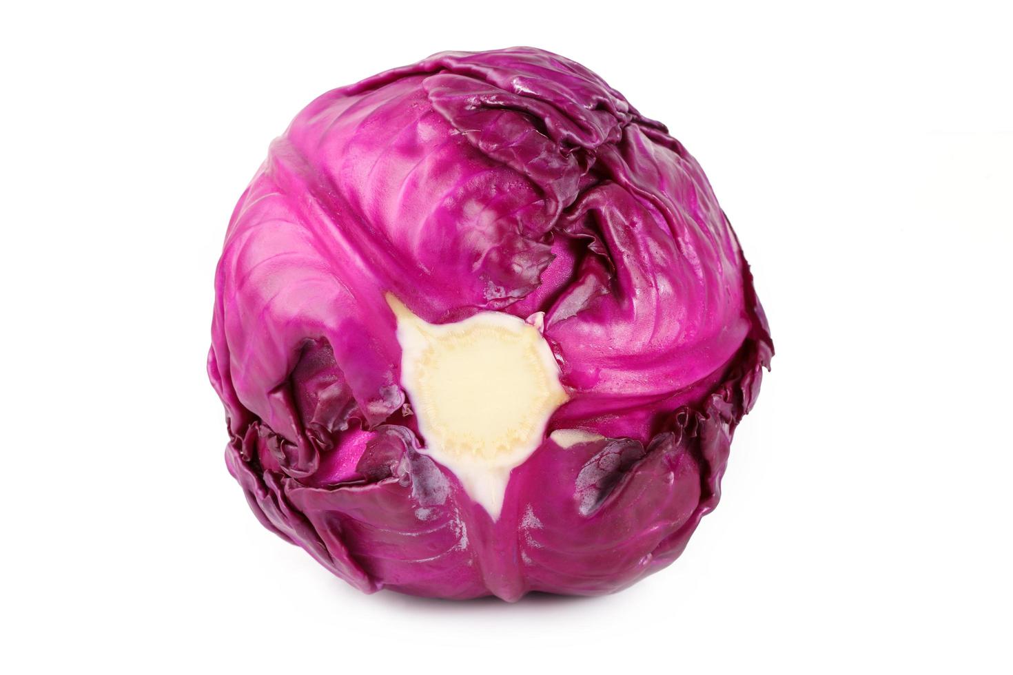 red cabbage on white background photo