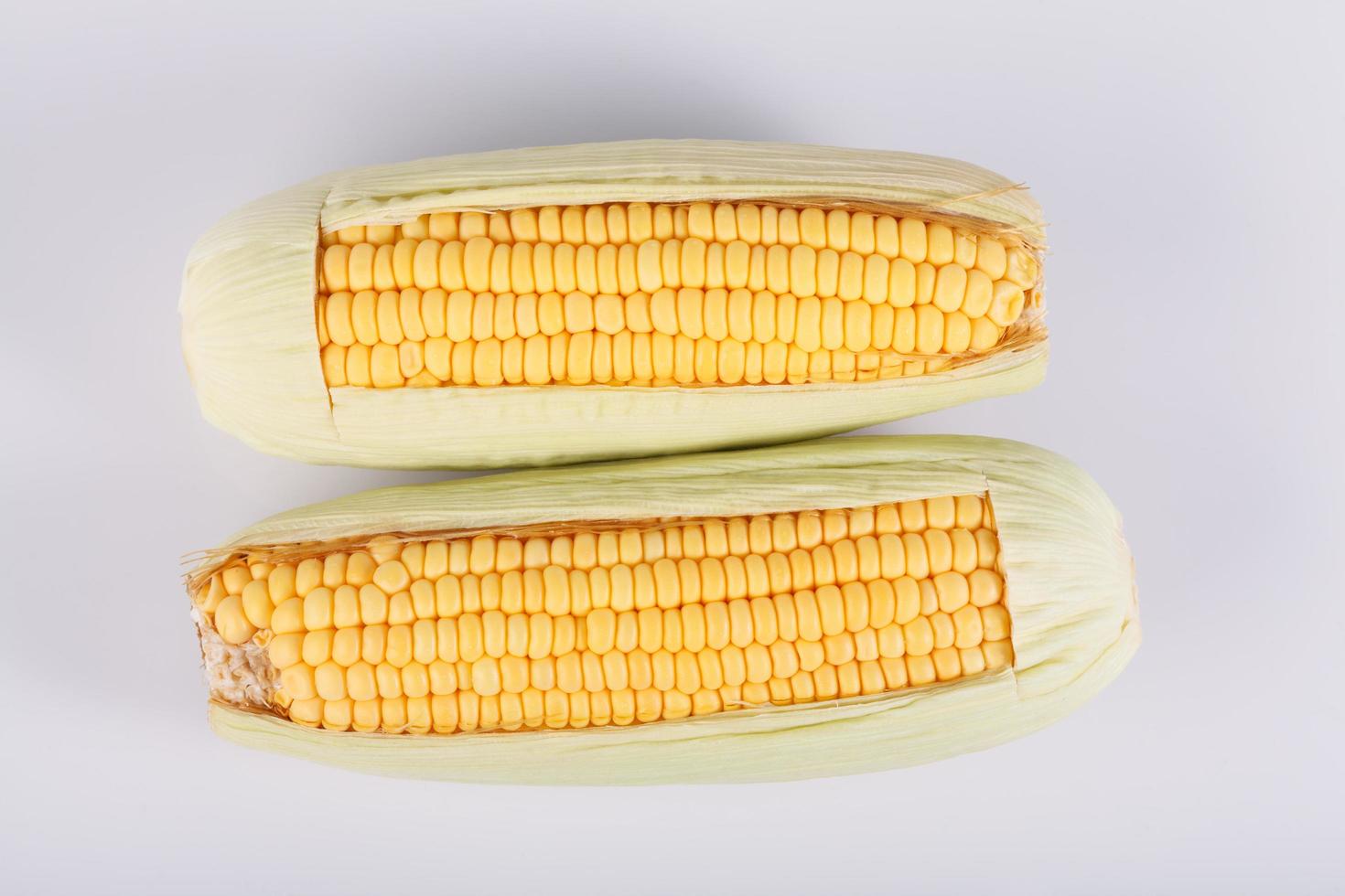 sweet corn on white table photo