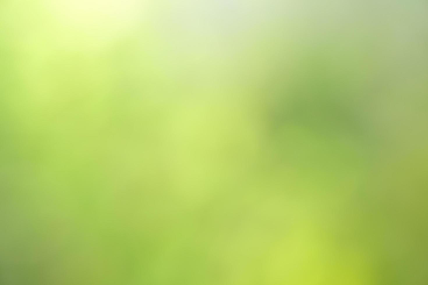 Abstract circular bokeh nature background of light photo