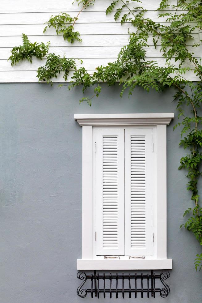 European style window photo