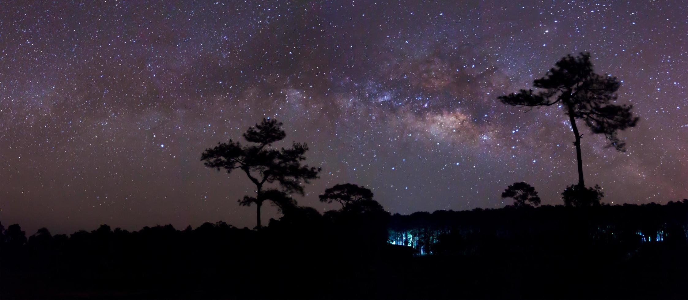 la silueta panorámica del árbol y la galaxia de la vía láctea, fotografía de larga exposición foto