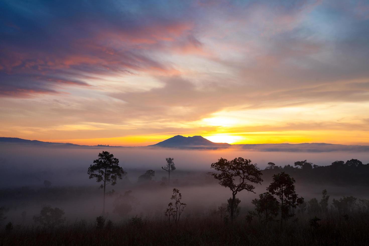 Misty morning sunrise at Thung Salang Luang National Park Phetchabun,Thailand photo