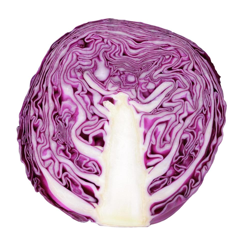 red cabbage isolate on white photo