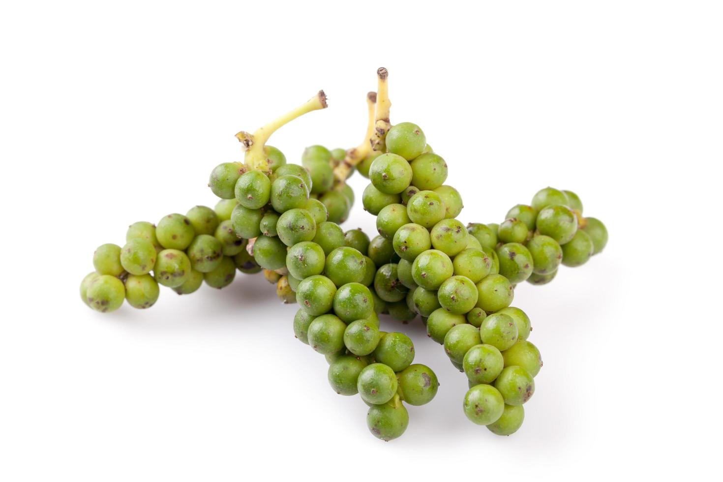 green color black pepper on white background photo