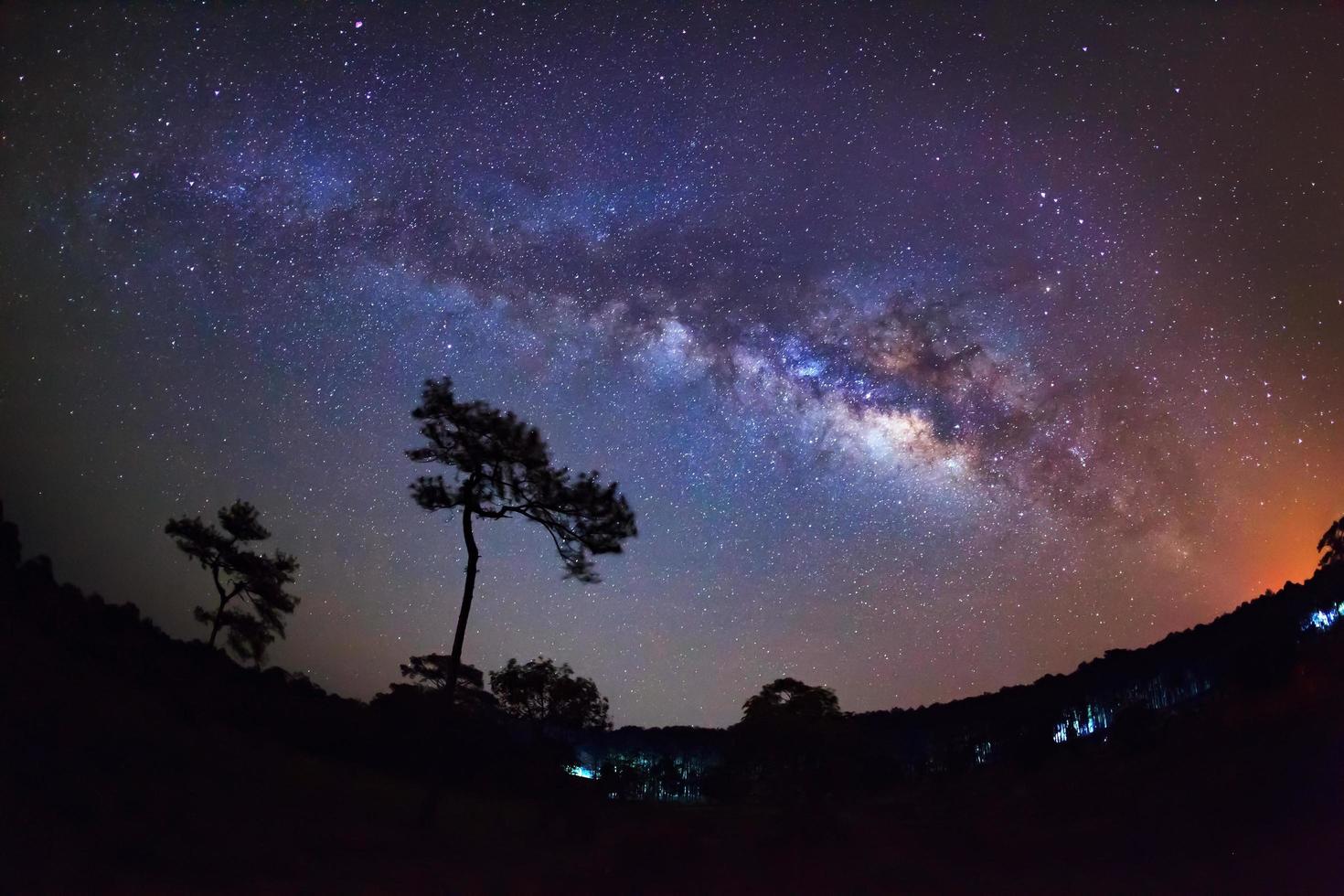 silueta de árbol y vía láctea en el parque nacional phu hin rong kla, phitsanulok tailandia. fotografía de larga exposición. foto