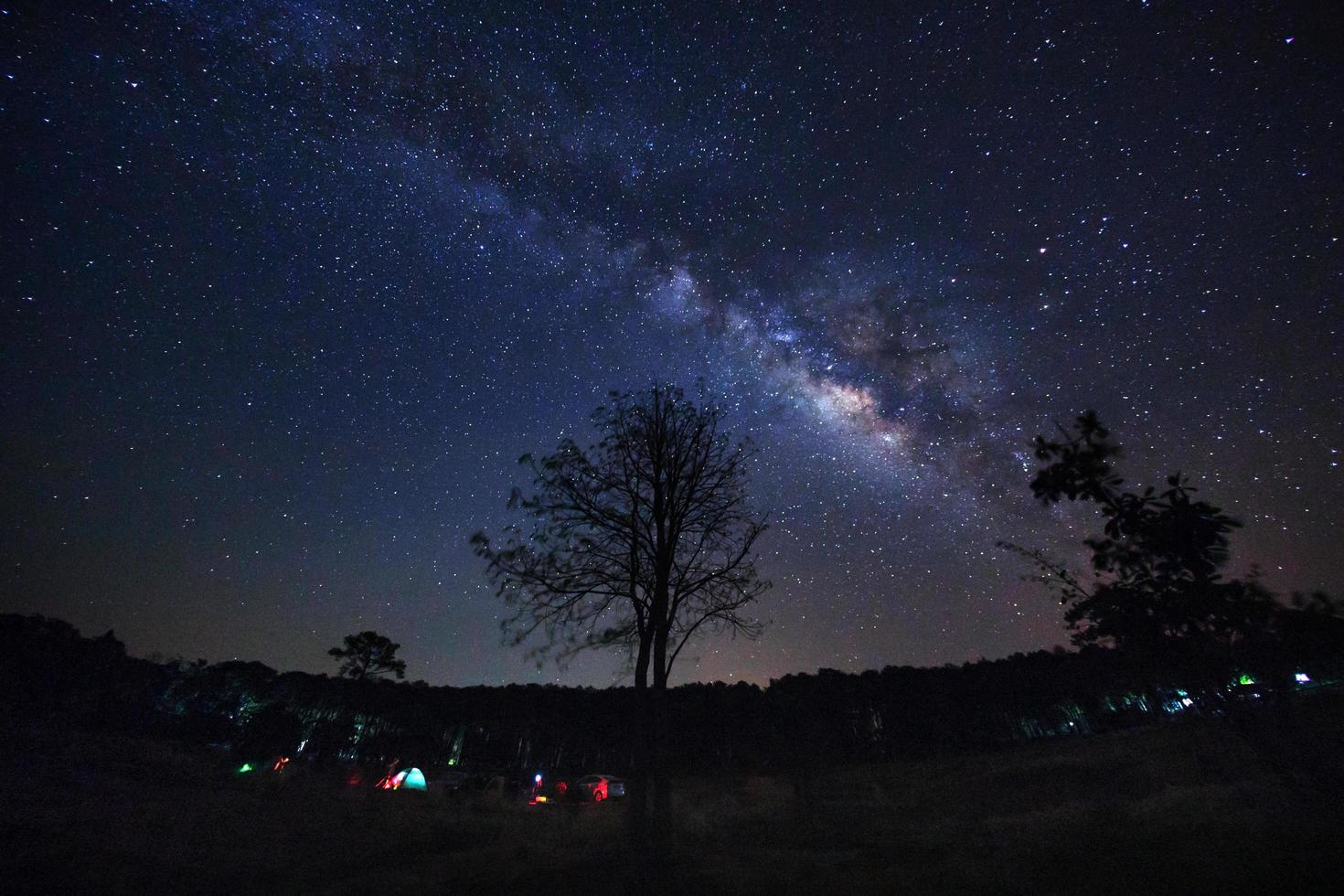 vía láctea y silueta de árbol en el parque nacional phu hin rong kla, phitsanulok tailandia, fotografía de larga exposición con grano foto