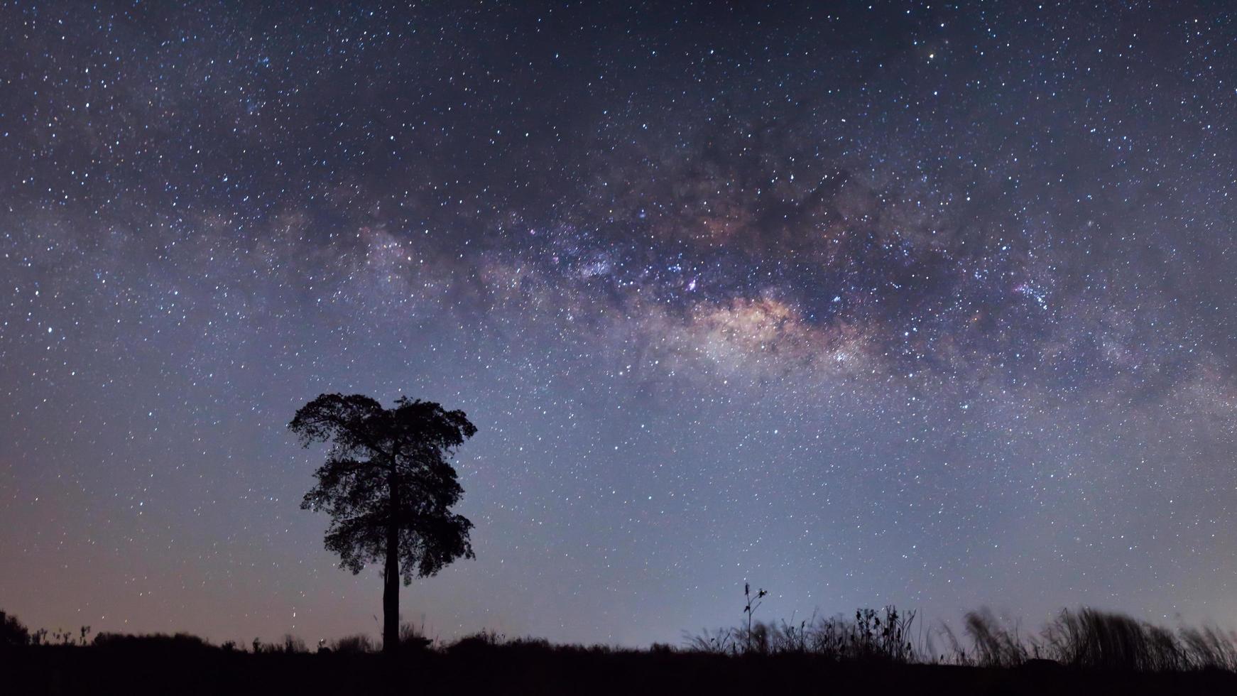 silueta panorámica de árbol y vía láctea. fotografía de larga exposición. foto