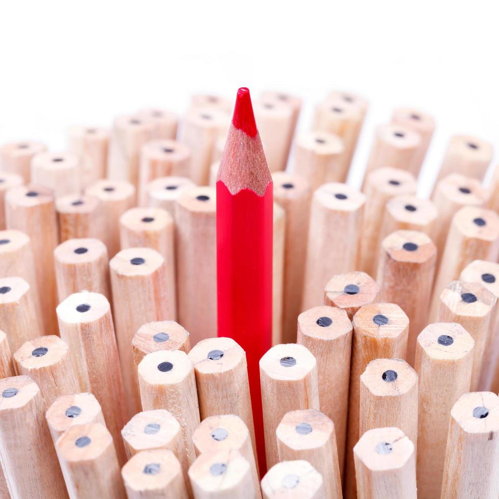 One sharpened red pencil among many ones photo