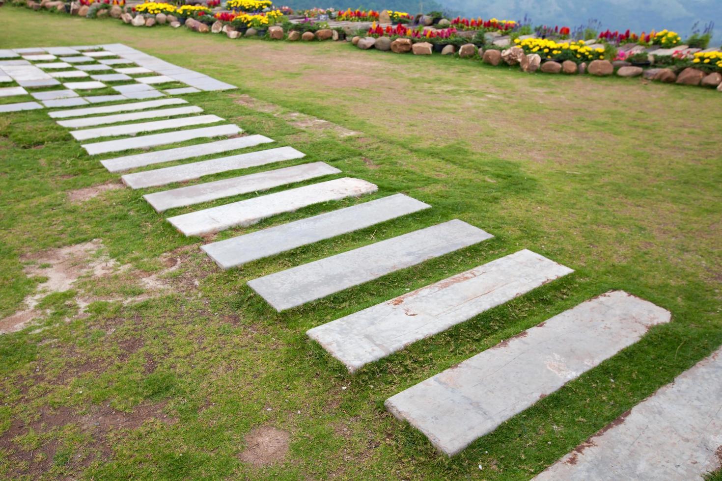 Walkway on green grass photo