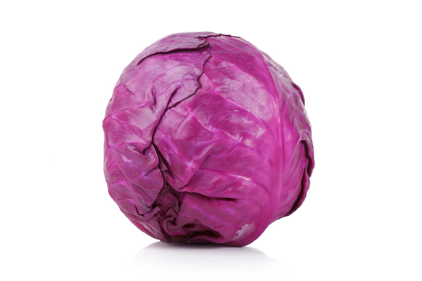 red cabbage on white photo