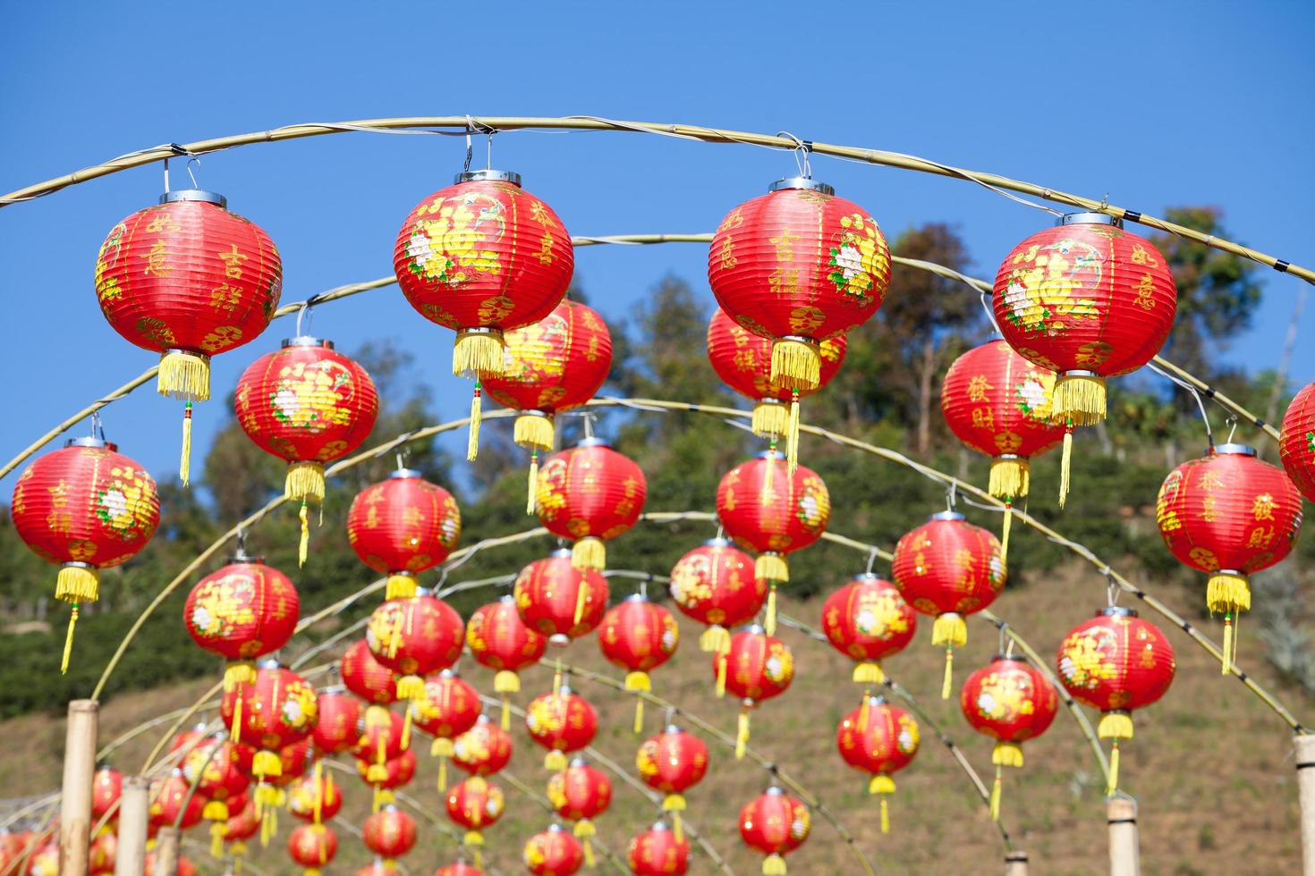 Red chinese lanterns with blue sky photo