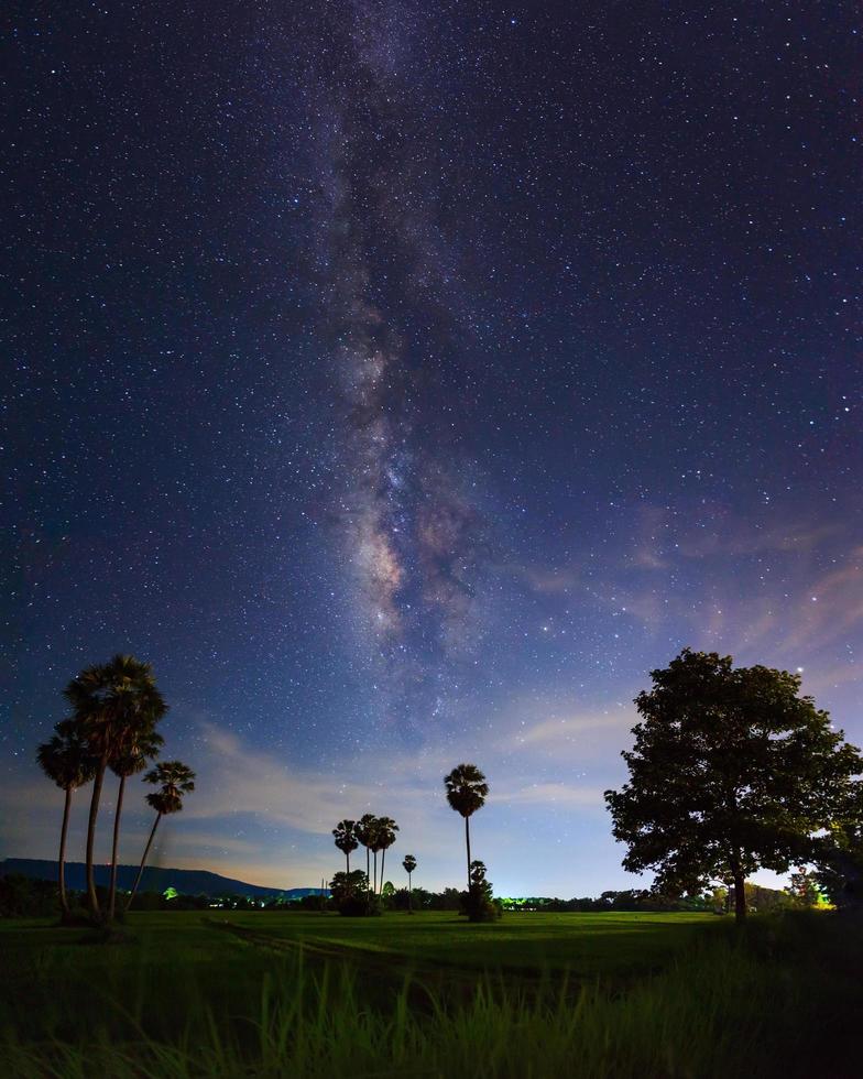 silueta de árbol con nube y vía láctea, fotografía de larga exposición. foto