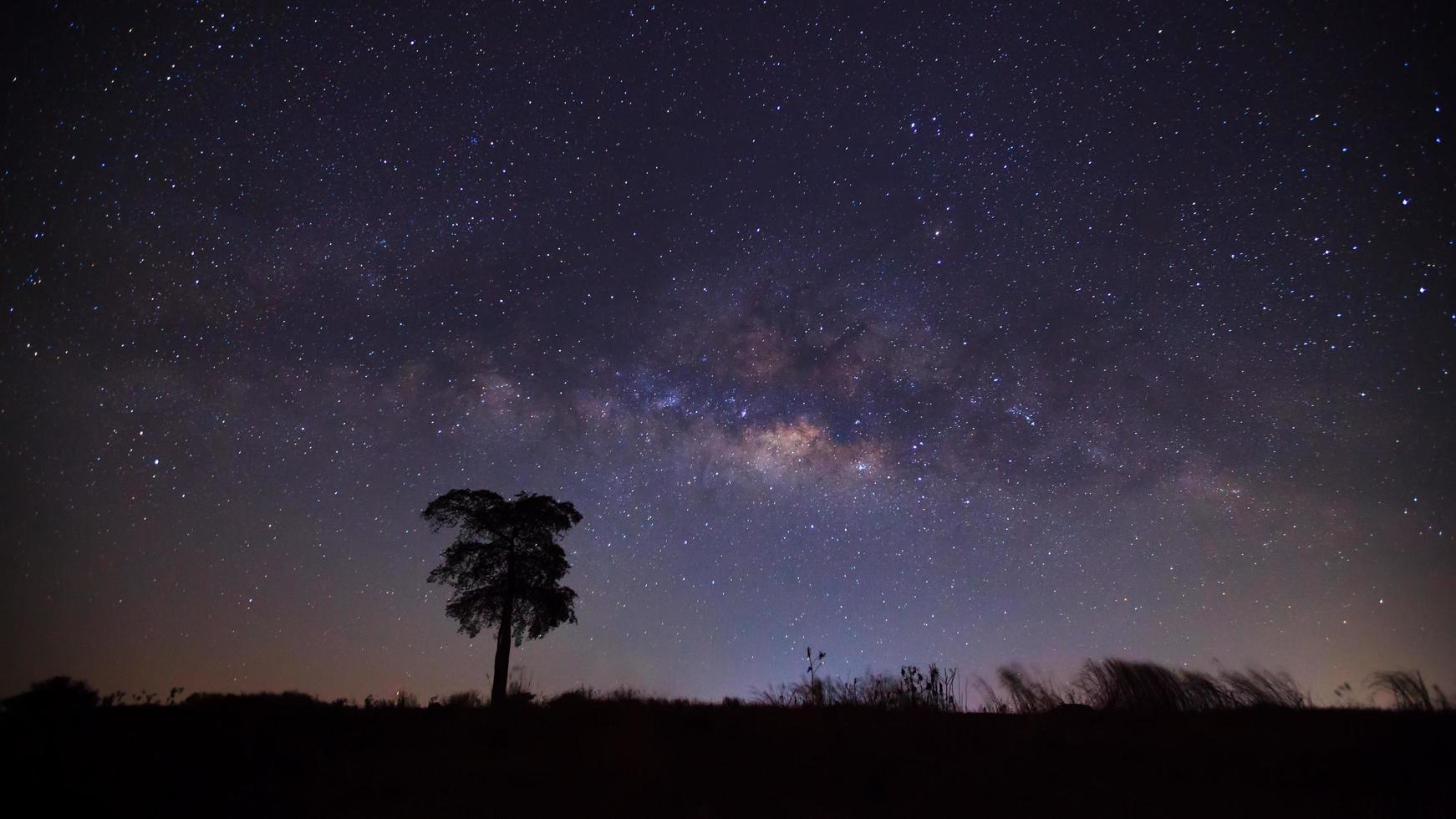 silueta de árbol y hermosa vía láctea en un cielo nocturno. fotografía de larga exposición. foto