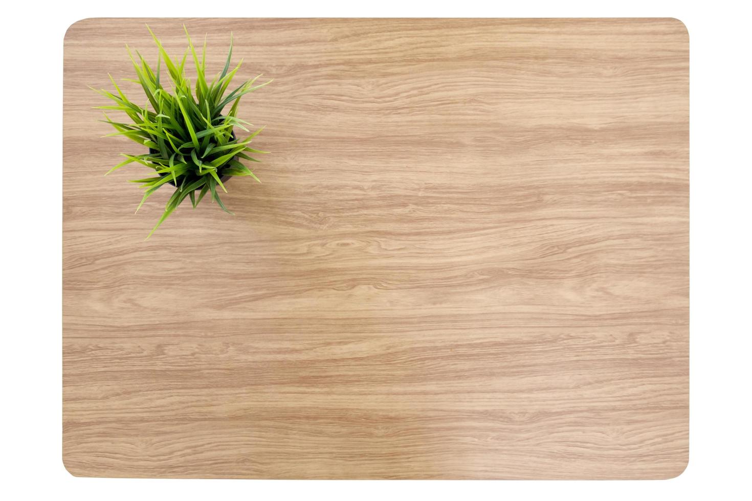 Top view plant in pot on wood table photo