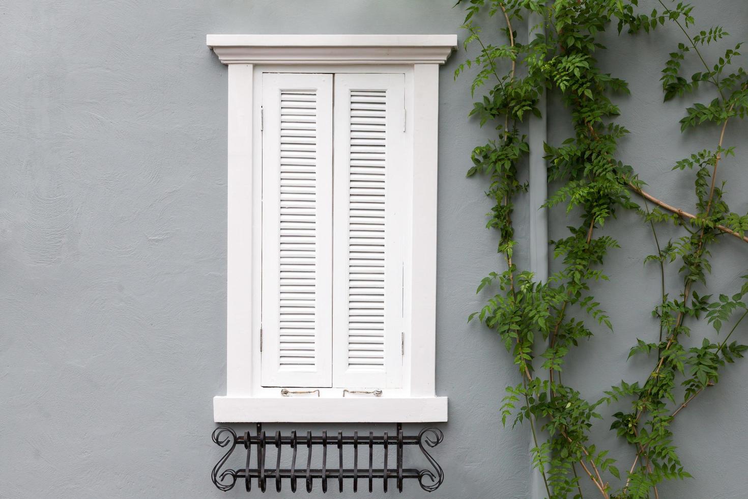 European style window photo