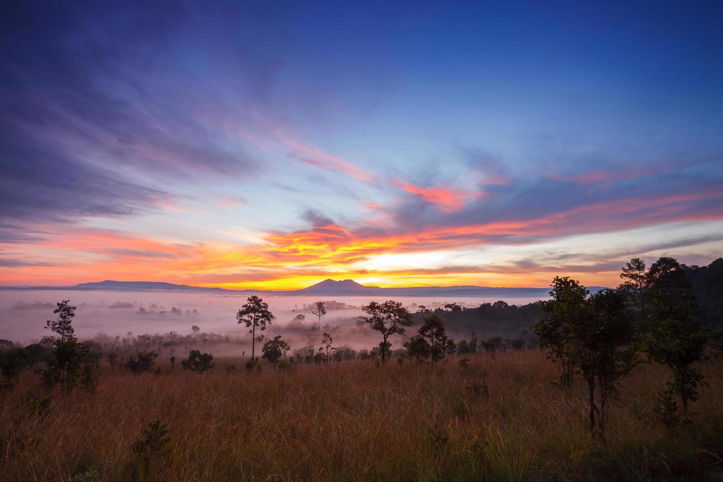 misty morning sunrise in mountain at Thung Salang Luang National Park Phetchabun,Thailand photo